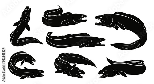 Set of Black Silhouette Moray Eels, Marine Life Illustrations