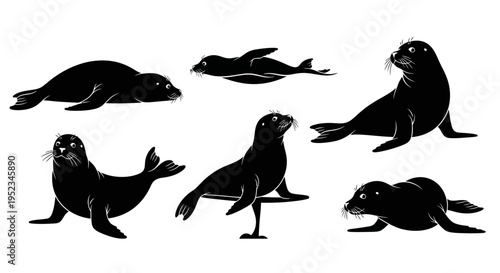 Set of Black Silhouette Seals in Various Poses on White Background