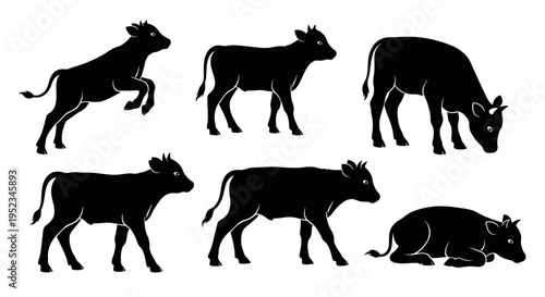 Set of Black Silhouettes of Calves in Various Poses on White Background