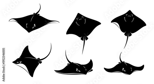 Set of Black Silhouettes of Stingrays and Manta Rays Swimming