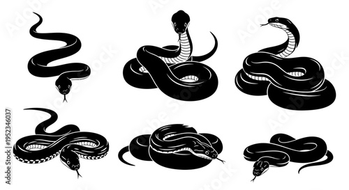 Set of Black Snake Silhouettes in Various Poses - Vector Illustration