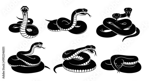 Set of Black Snake Illustrations, Various Poses, Isolated on White Background