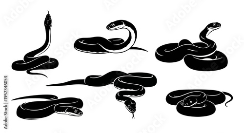 Set of Black Snake Silhouettes in Various Poses - Vector Illustration