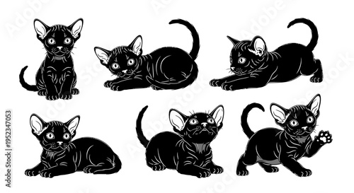 Set of black kittens in various playful poses, illustration, vector art