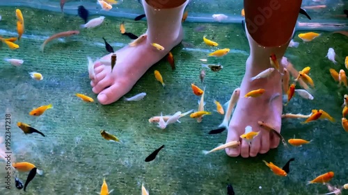 Fish Spa Pedicure Treatment with Colorful Garra Rufa for Foot Wellness