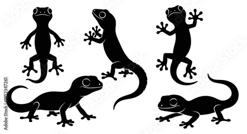 Set of Black Gecko Silhouettes on White Background, Various Poses