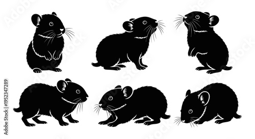 Set of Black Hamster Silhouettes in Various Poses on White Background
