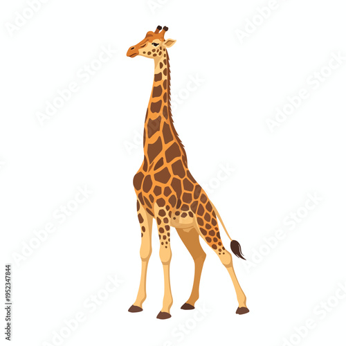 A cartoon giraffe with long neck and patterned fur stands on a white background