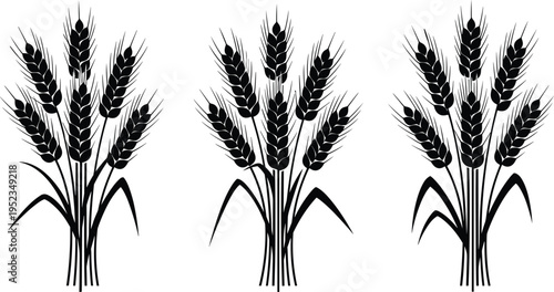 Black wheat ear silhouette vector illustration set featuring organic grain stalks for bakery logos agriculture harvest themes and healthy food packaging design elements.