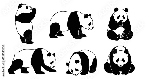 Set of cute panda illustrations in various poses, black and white cartoon style