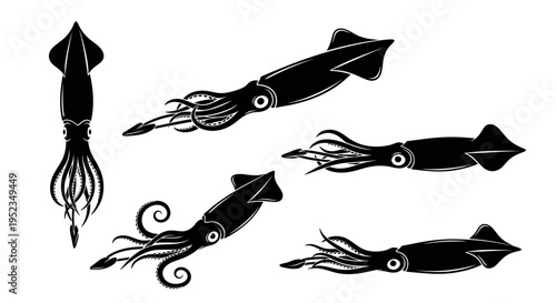 Set of Black Squid Silhouettes on White Background, Marine Life Vector Graphics
