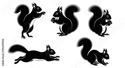 Set of Black Squirrel Silhouettes in Various Poses - Running, Jumping, Eating