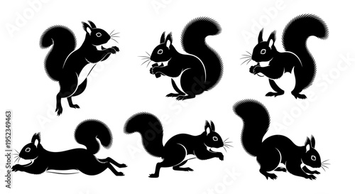 Set of Black Squirrel Silhouettes in Various Poses on White Background