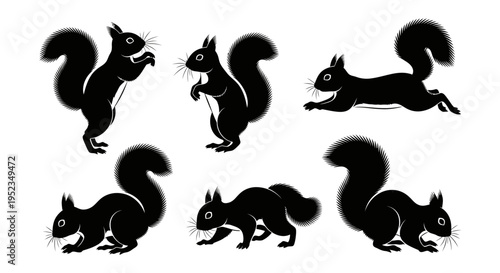 Set of Black Squirrel Silhouettes in Various Poses on White Background