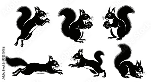 Set of Black Squirrel Silhouettes in Various Poses on White Background