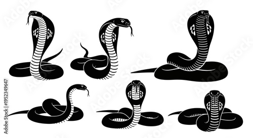 Set of Cobra Snake Silhouettes in Various Poses - Black and White Illustration