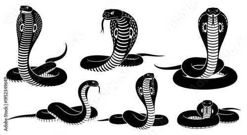 Set of Cobra Snake Silhouettes in Aggressive Poses, Black and White Vector Illustration