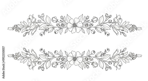 Floral line art decorative borders.