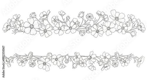 Floral Line Drawing Border Designs.