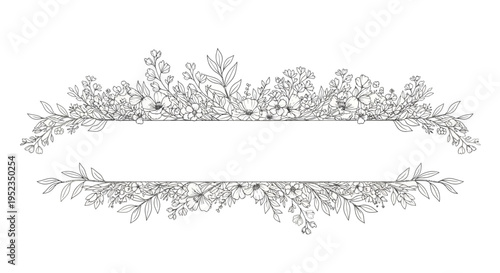 Intricate floral design border illustration.