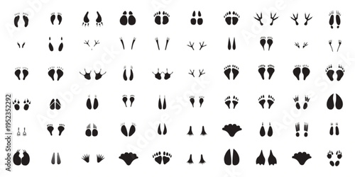A diverse vector collection of animal footprints, paw prints, and track patterns, presented as black silhouettes of various wildlife species for educational design