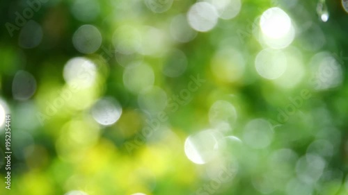Abstract green bokeh background of nature's light and color 