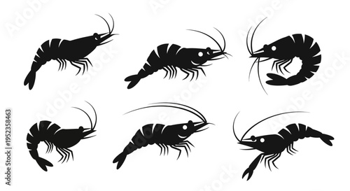 Set of black shrimp silhouettes on a white background, isolated vector illustrations