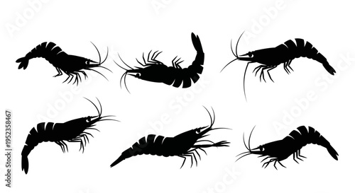 Set of Black Shrimp Silhouettes on White Background, Marine Life Vector Graphics