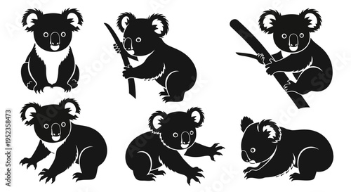 Set of Black Koala Icons and Silhouettes on White Background
