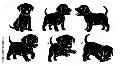 Set of Black Labrador Puppies Silhouettes in Various Poses