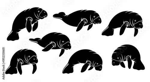 Set of Black Manatee Silhouettes on White Background, Marine Mammal Vector Illustration
