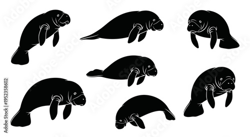 Set of Black Manatee Silhouettes on White Background - Marine Mammal Collection