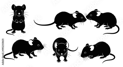 Set of Black Mouse Silhouettes in Various Poses, Isolated on White Background