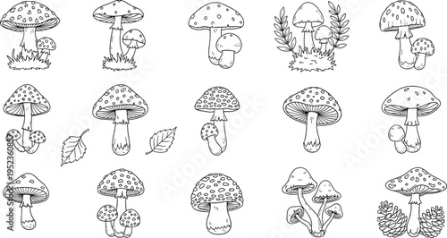 Collection of hand-drawn mushroom illustrations in a simple black and white line art style