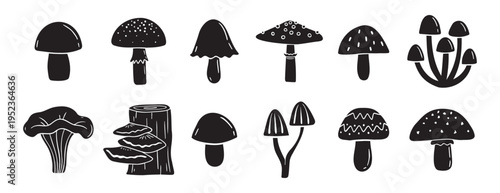mushrooms silhouette monochrome with patterns illustration set. Trendy mushroom creative fabulous mystic folklore collection