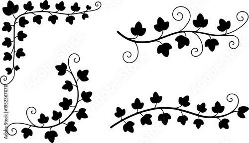 Black silhouette ivy vine with swirling tendrils white background plant leaf