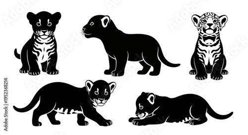 Set of Black Silhouette Baby Lions or Big Cats Cubs Poses Vector Illustration