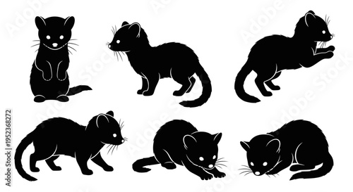 Set of Black Silhouette Ferrets or Weasels in Various Poses on White Background