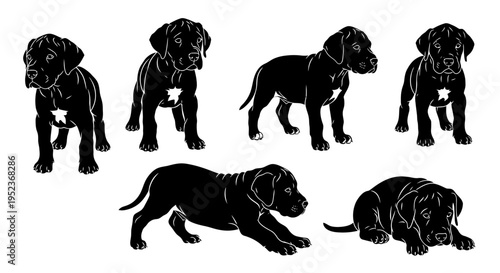 Set of Black Silhouette Great Dane Puppies in Various Poses