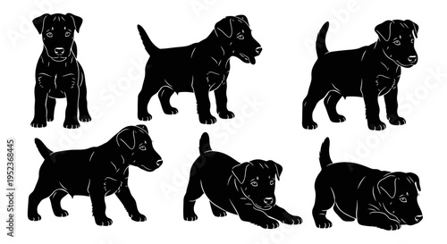 Set of Black Silhouettes of a Jack Russell Terrier Puppy in Various Poses