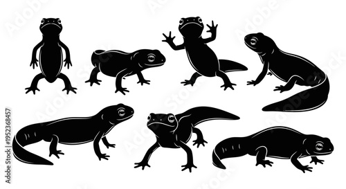 Set of Black Silhouettes of Amphibians, Salamanders, and Newts in Various Poses on White Background