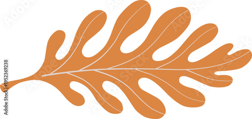 A vibrant orange oak leaf with distinctive lobes and a slender stem against a clean white background  victor illustration