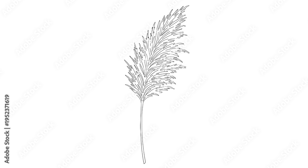Fototapeta premium Feather delicate line drawing with airy barbs and thin stem, minimal monochrome sketch featuring plume,