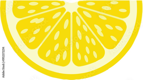 A graphic illustration of a sliced lemon half with visible juicy segments Vector, illustration