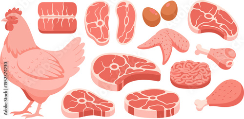 Chicken and meat cuts collection vector illustration, poultry beef steak parts set, butcher shop food elements isolated on background