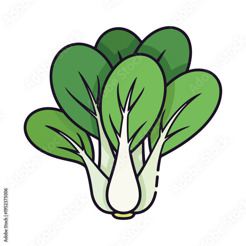 Bok Choy Vegetable Green Leaves 1.