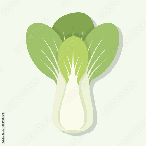 Bok Choy Vegetable Illustration Green.