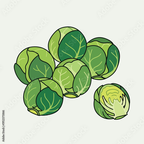 Brussels Sprouts Vegetable Green Fresh Produce.