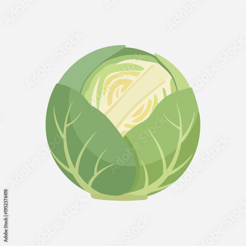 Cabbage Vegetable Green Fresh Produce 2.
