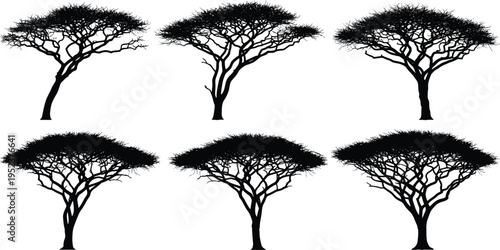 Acacia tree silhouettes set, African savanna trees vector, flat top canopy design, black nature illustration, isolated woodland graphic collection